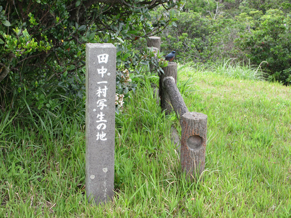 あやまる岬　一村写生地の石碑